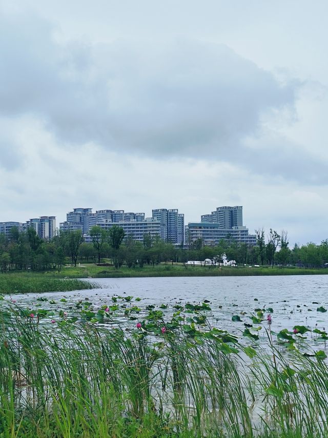 以後到成都，就住這家酒店，舒適與驚喜之旅