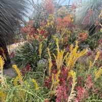 Eden project