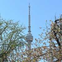 《武漢龜山電視塔：城市之巔的視覺盛宴》