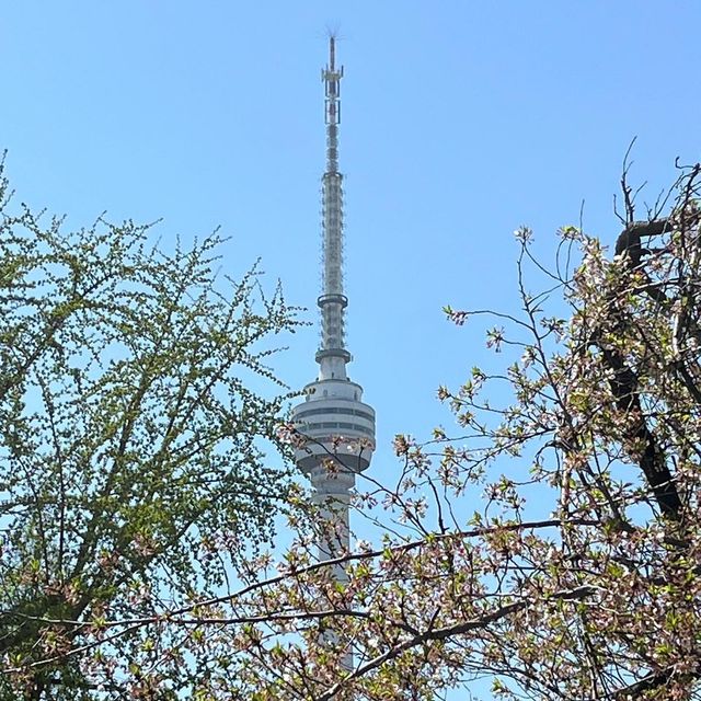 《武漢龜山電視塔：城市之巔的視覺盛宴》