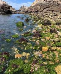 漁山島之旅 - 一場心靈的邂逅