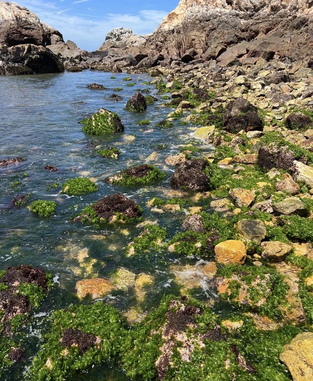 漁山島之旅 - 一場心靈的邂逅