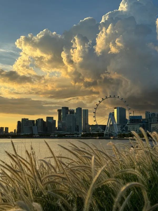 深圳兩日遊攻略🌇🎡