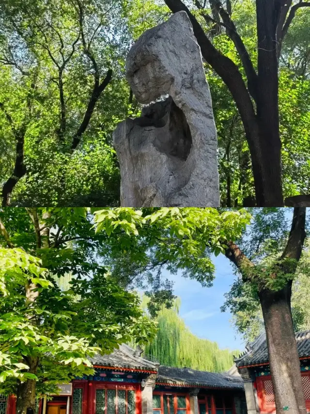 快來這裡,讓你有意外的收穫!