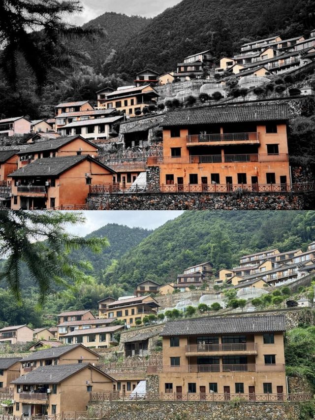 承包松陽古村雲海!700米山谷間的原舍揽樹。