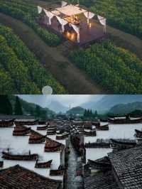 飛茑集·澡雪佳隱,美術館裡的山野民宿奇遇記。