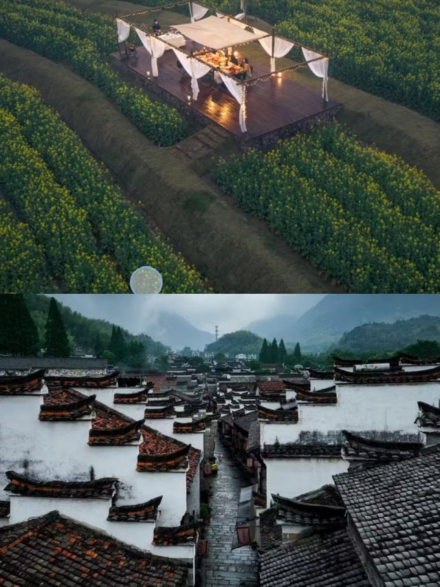 飛茑集·澡雪佳隱,美術館裡的山野民宿奇遇記。 飛茑集·澡雪佳隱,美術館裡的山野民宿奇遇記。