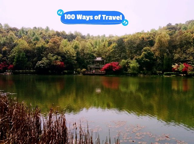 Hiking Spots in Changsha: Exercising and Beauty of Nature