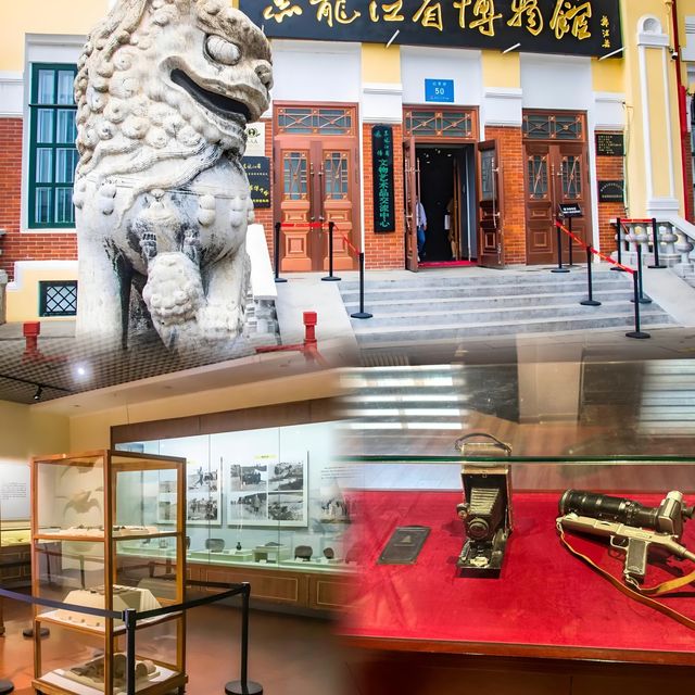參觀國家一級博物館-黑龍江省博物館。