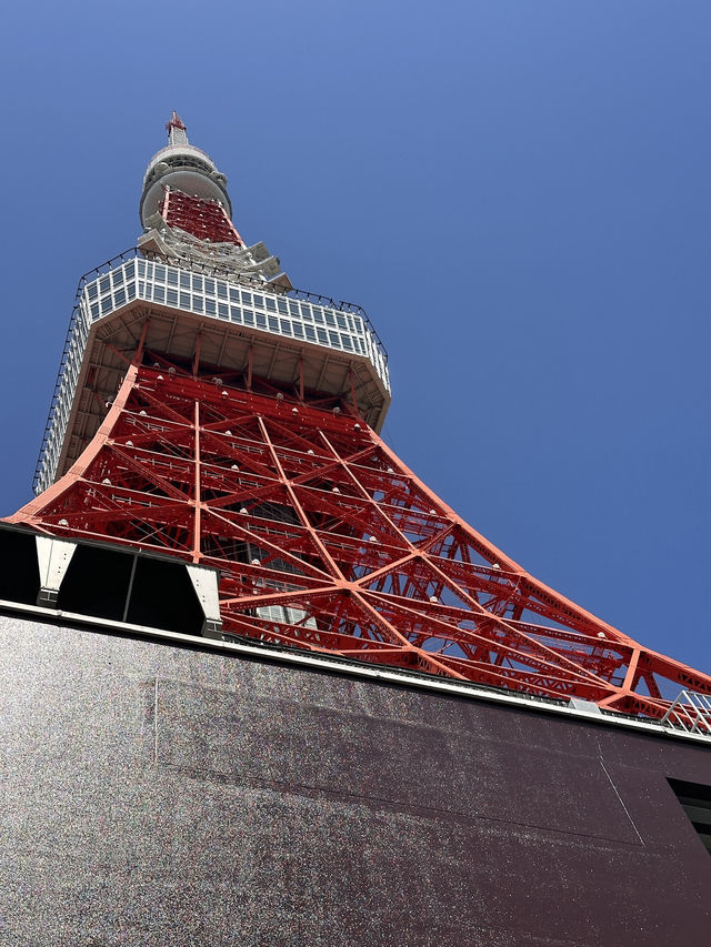The Best Views of Tokyo From The Iconic Tokyo Tower 🗼 