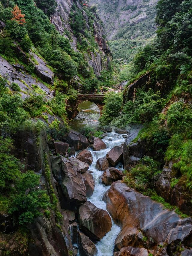 探秘浙南小黃山：蛟龍大峽谷的隱世之美。