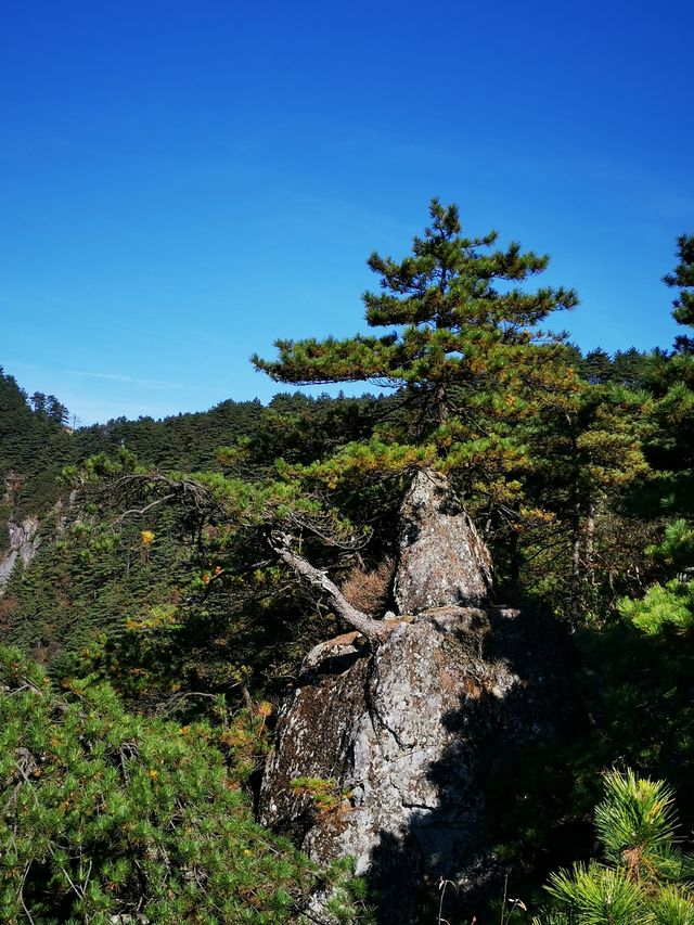 羊獅慕風景區。