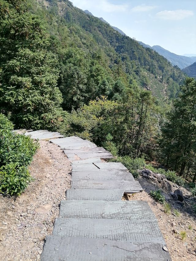 徒步榉根嶺古道丨千年古道丨國慶節避擁遊玩的好地方。