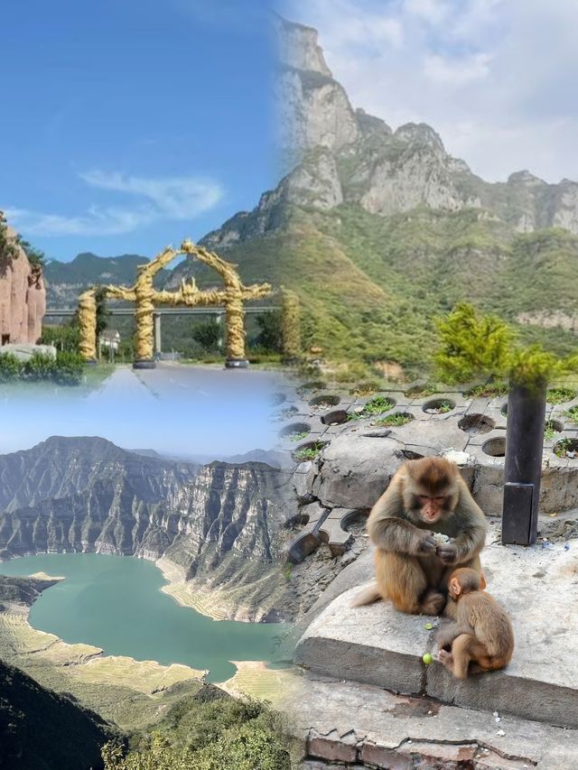 五龍口：自然與靈猴共舞的奇妙之地。