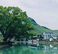 國慶的快樂是這個藏在浙江的免費古村給的。