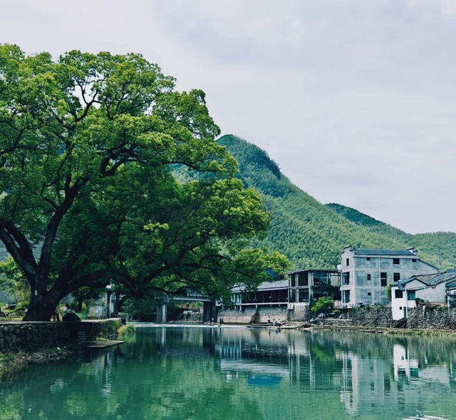 國慶的快樂是這個藏在浙江的免費古村給的。