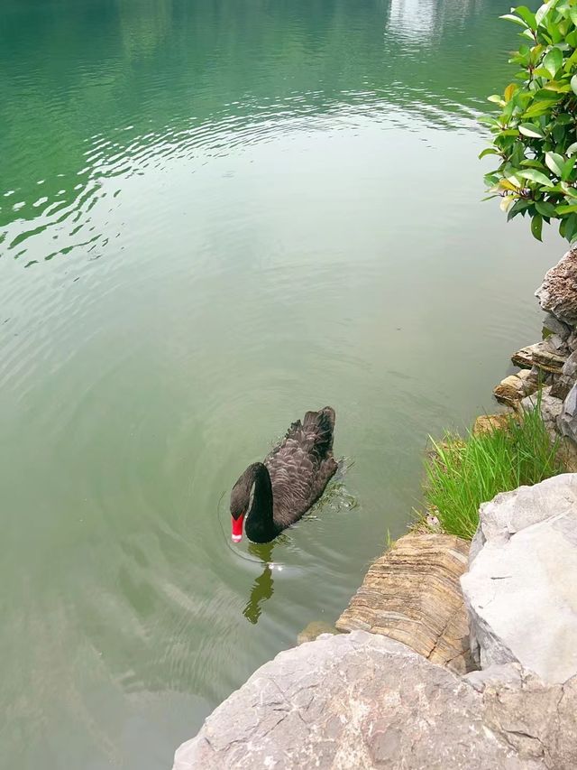 南京達摩主題公園（又稱達摩古洞景區）。