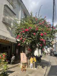 思茅老街戴家巷古建築群。
