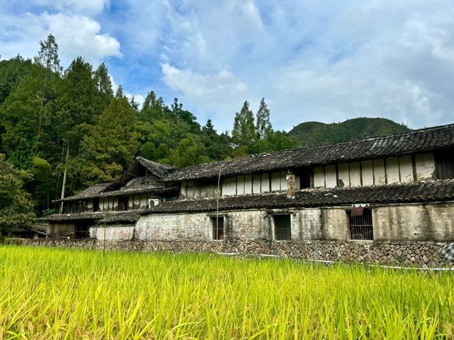 漂亮得讓我感動的浙江農村。 漂亮得讓我感動的浙江農村。