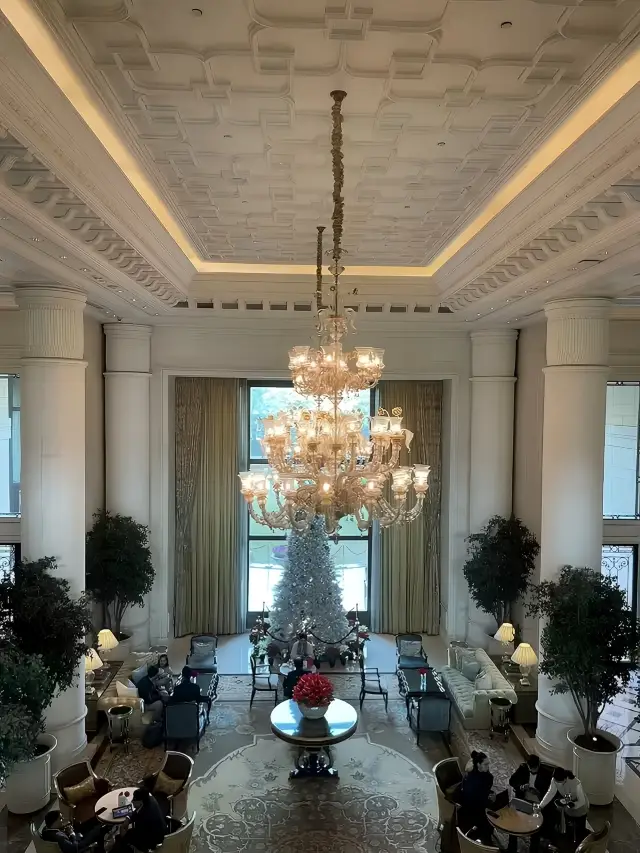 뉴델리, 독특한 호텔 스타일로 럭셔리한 객실과 다양한 국제 요리를 제공합니다!