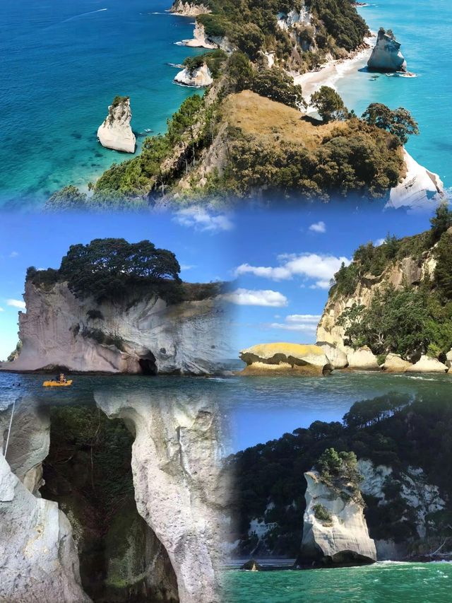 探索科羅曼德爾半島：自然與冒險的完美結合 。