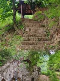 畫眉谷：解鎖山水間的童話世界。