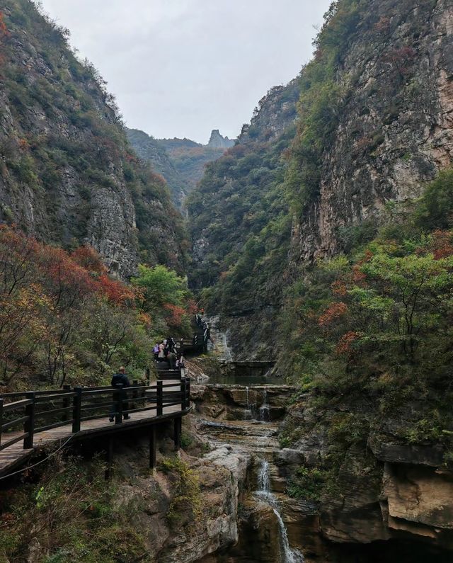 涉縣莊子嶺是一個去了就不想離開的地方。