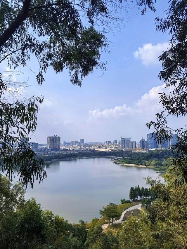 香港太平山頂｜俯瞰全香港。