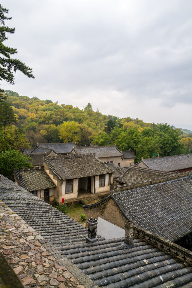 跟着悟空遊古建——二刷忻州佛光寺。