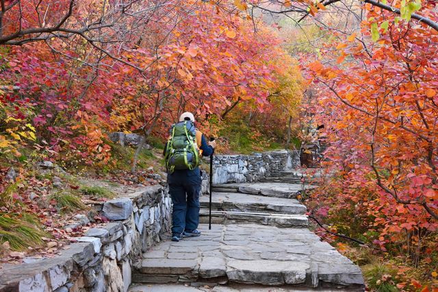 坡峰嶺。 坡峰嶺。