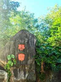 琴園