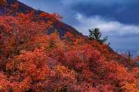 秋染興隆山 詩畫醉榆中。