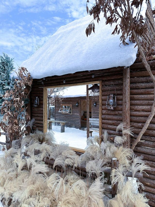 深圳雪景木屋阿勒泰！。