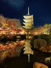 Early Red Leaves Spotted at Toji Temple