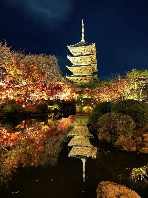 Early Red Leaves Spotted at Toji Temple