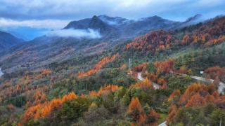 巴山煙雨，來光霧山看場晚秋（附實用攻略）。