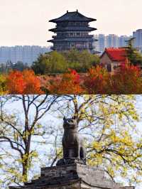 盤點適合帶小朋友出遊的5個城市。