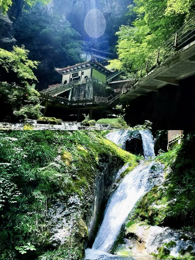 你不知道這裡真的好看水清晰。