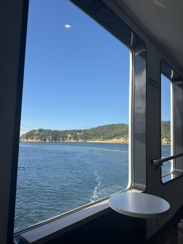 Renting a Pumpkin Car for a Day on Naoshima