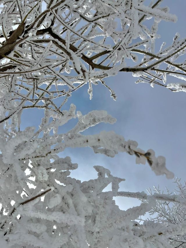 西安無版秦嶺看雪攻略。