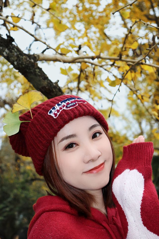 中國銀杏之鄉 | 韶關南雄坪田。