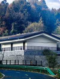 少間文旅康養之旅：邂逅愜意時光。