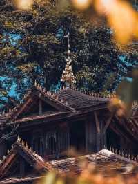 西雙版納等地2日遊超詳細攻略 玩轉不重樣。