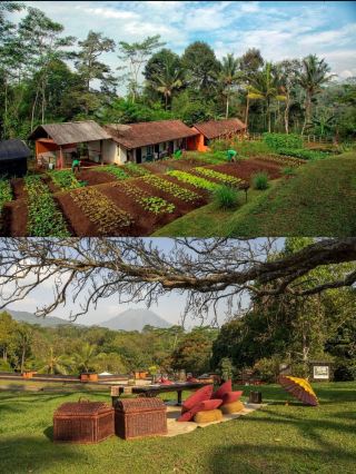 MesaStila, a luxurious spa retreat in a hidden paradise. 