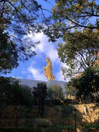 普陀山-寧波老友記：玩轉兩地不踩雷攻略。