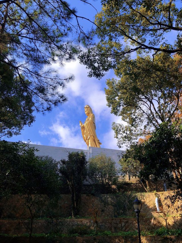 普陀山-寧波老友記：玩轉兩地不踩雷攻略。