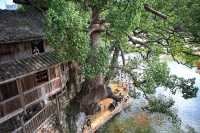 浙江溫州|遇見中國最美廊橋