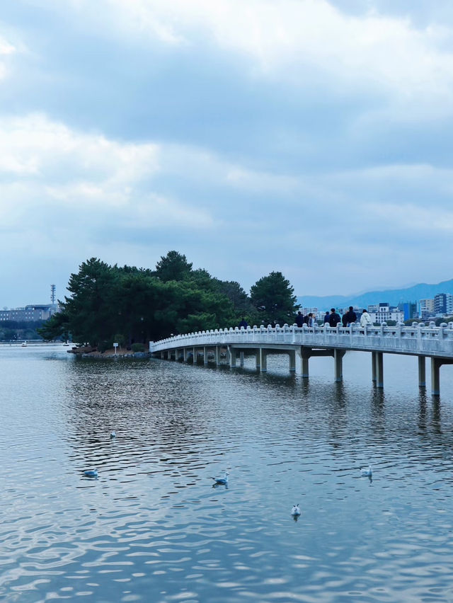 景色優美大濠公園全攻略🥰超級吸引❤️