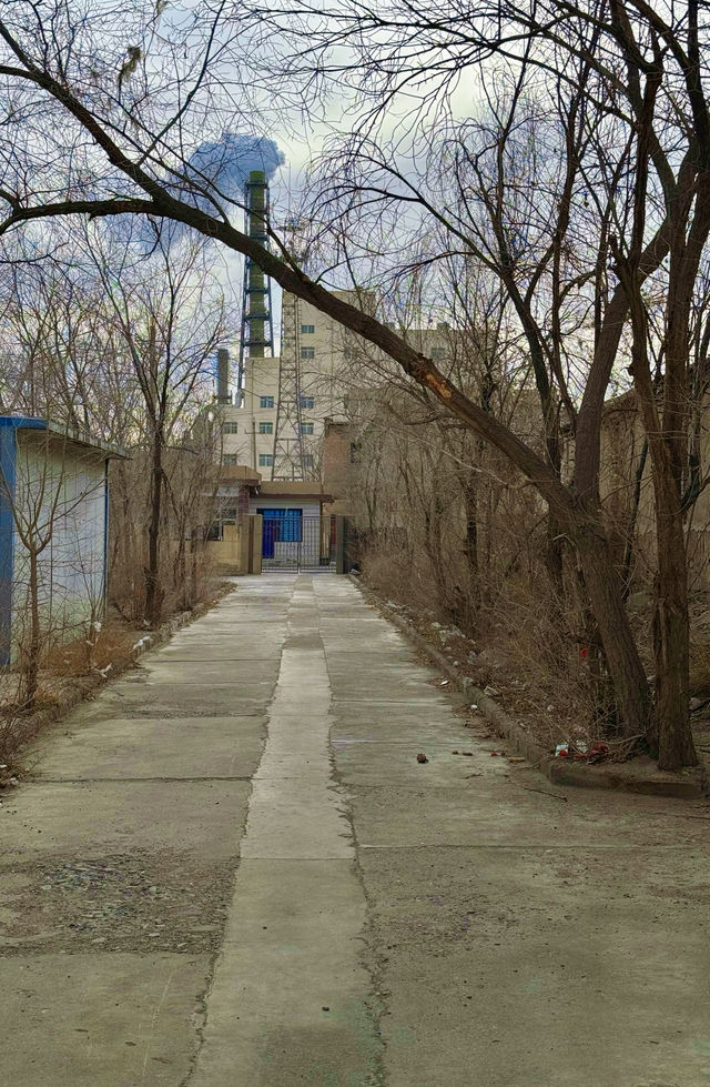 路過你的城市·金昌