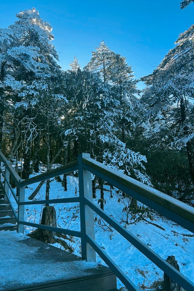到看雪山的季節啦！！！